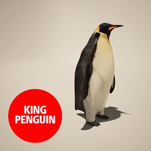 3d model of penguin king