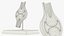 Anatomical Joint Model on Stand