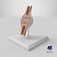 Anatomical Joint Model on Stand
