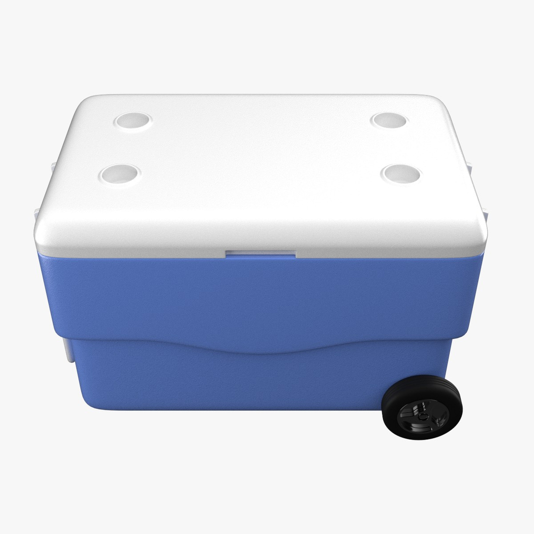 3d Cooler Contains