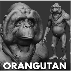 チンパンジー3Dモデル - TurboSquid 2089325