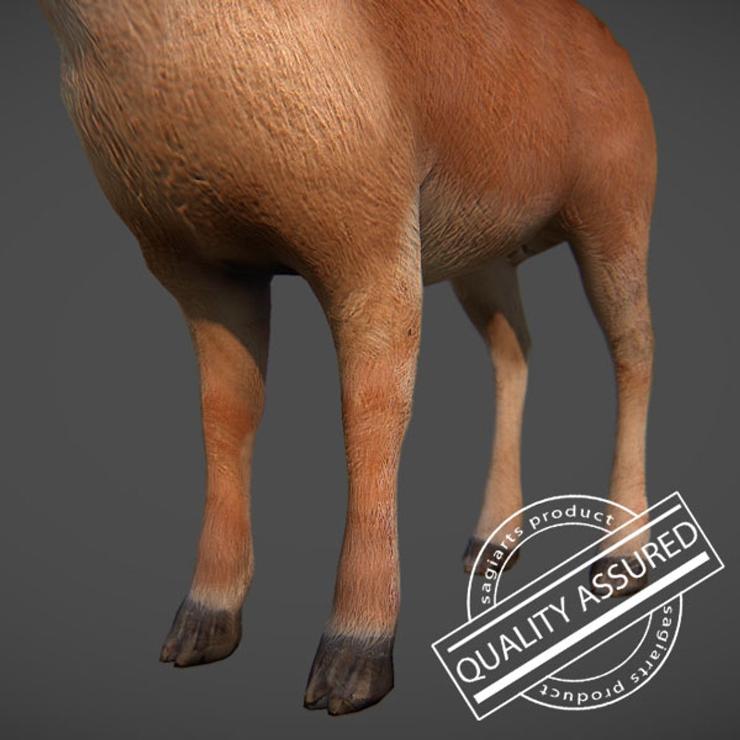 maya deer buck https://p.turbosquid.com/ts-thumb/6n/kD5nY0/dUvbwJO9/2/jpg/1310412534/1920x1080/fit_q87/b11e1facaf45ff0e919633ff346ae2b0d42501c5/2.jpg