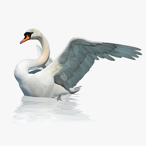mute swan 3D model