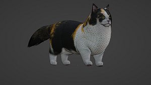 cat Rigged 3D model