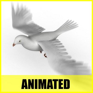 dove flying animation 3d model