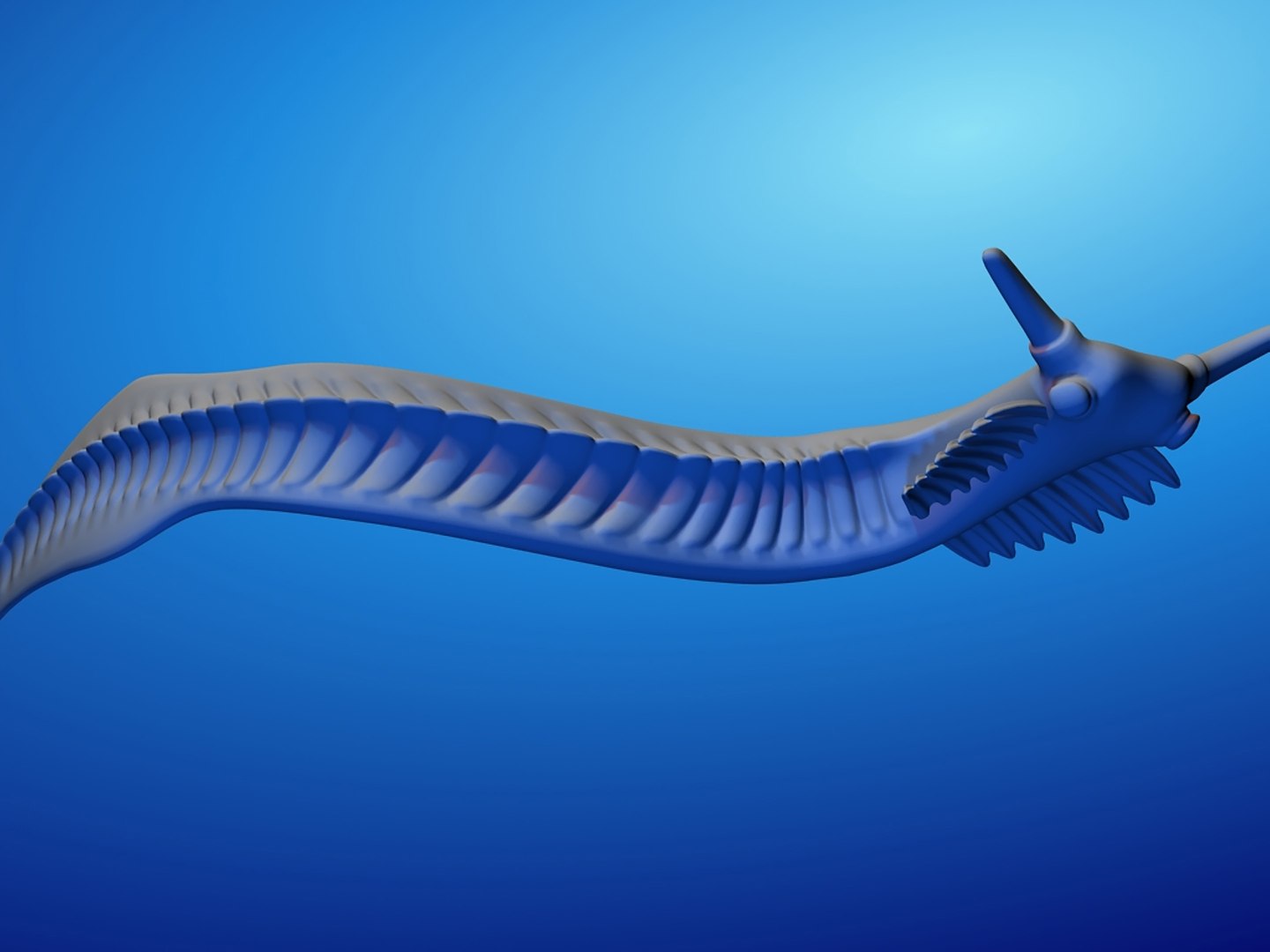 3d model pikaia prehistoric cambrian https://p.turbosquid.com/ts-thumb/6o/1spYQo/SD/r05/jpg/1739252216/1920x1080/fit_q87/af335d71ac7c3e167bff6429b48d6bdc7e47da3c/r05.jpg