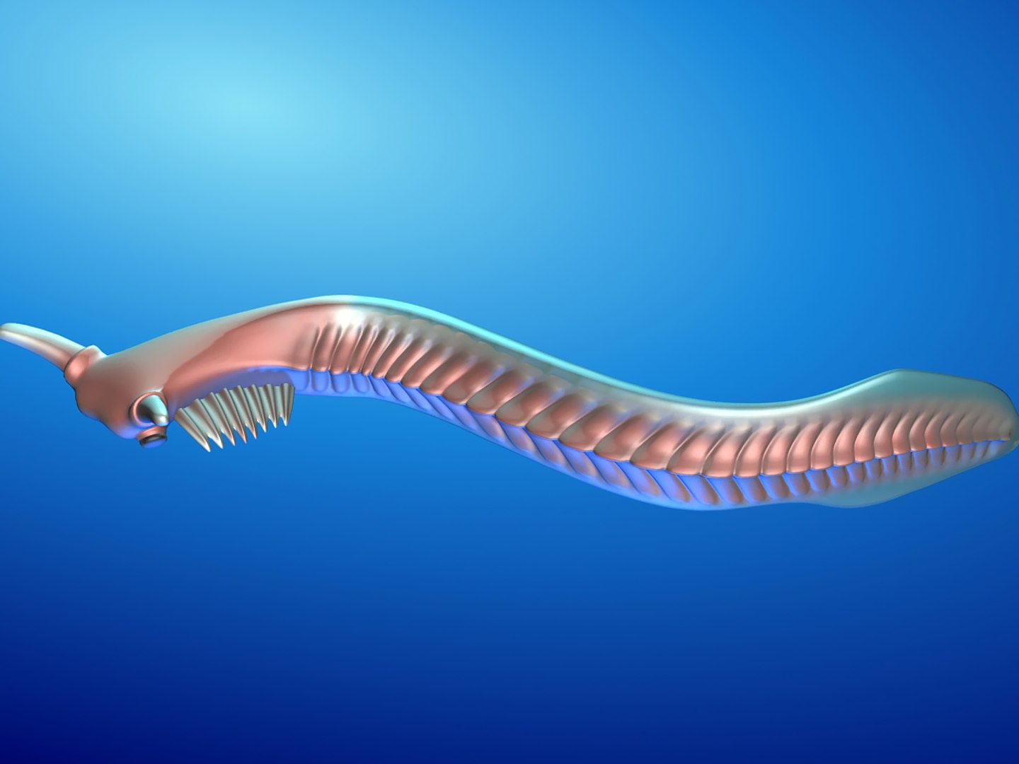 3d model pikaia prehistoric cambrian https://p.turbosquid.com/ts-thumb/6o/1spYQo/ii/r02/jpg/1739252213/1920x1080/fit_q87/5723838f77fe3354ab06d5081113d7387d7c5418/r02.jpg