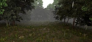 Realistic Animated FOREST