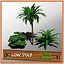 Pack Plantas