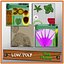 Pack Plantas