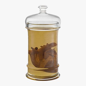 Vintage Organ Jar - Human Hearth