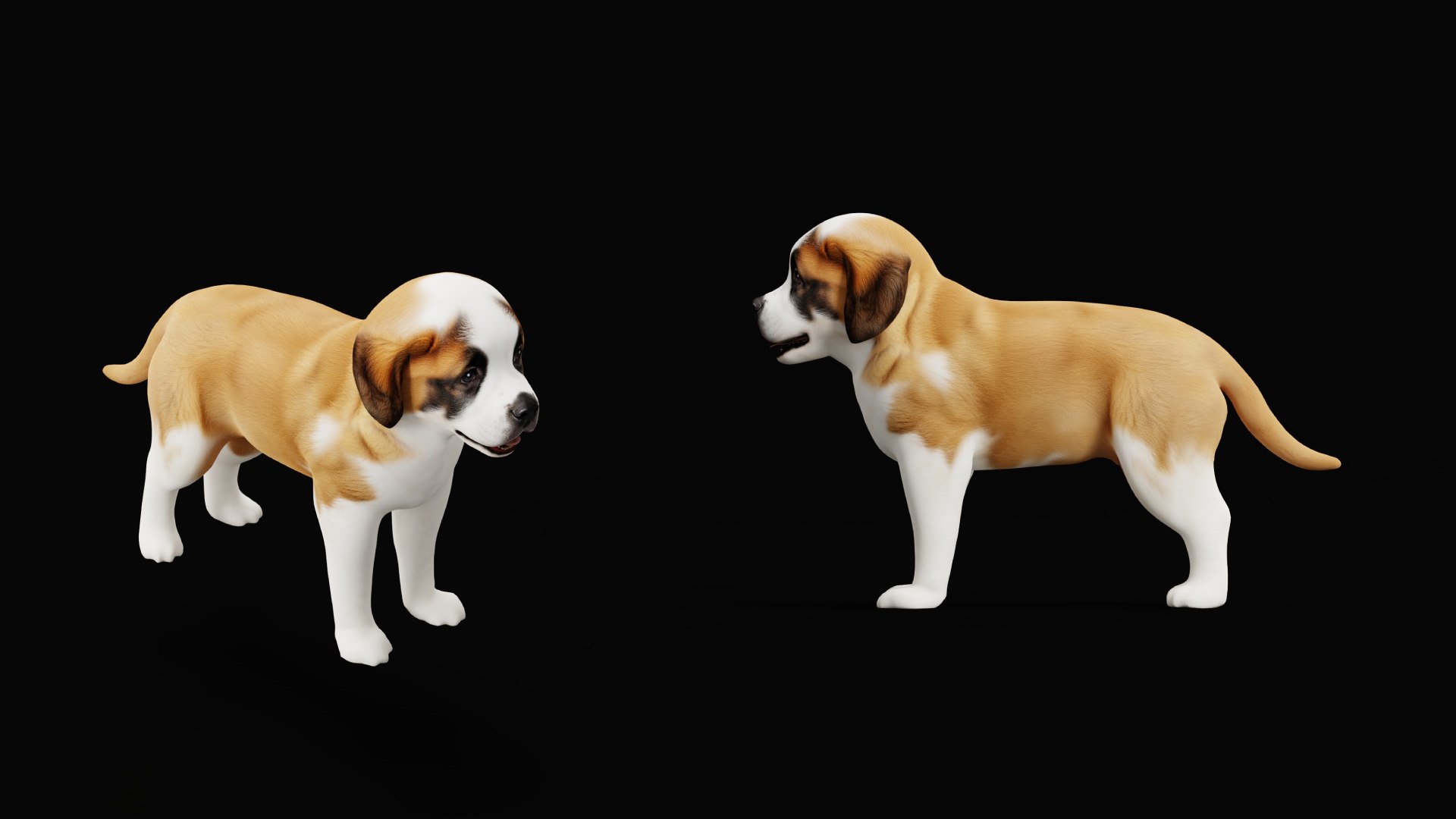 Saint Bernard Puppy Dog 3D model https://p.turbosquid.com/ts-thumb/6o/eMTjYF/Dq/st_bernard_puppy_dog_breed7/png/1756590416/1920x1080/fit_q87/ab76887f895ee99dbd10fe4f1898fb9c66400e76/st_bernard_puppy_dog_breed7.jpg