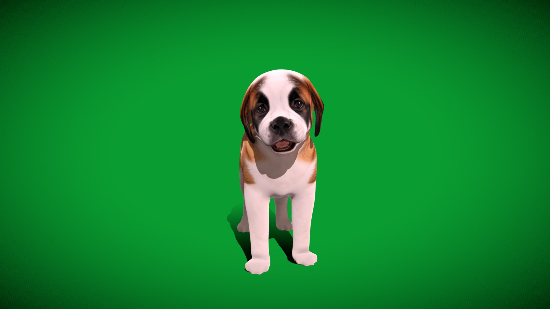 Saint Bernard Puppy Dog 3D model https://p.turbosquid.com/ts-thumb/6o/eMTjYF/IC/st_bernard_puppy_dog_breed6/png/1756590428/1920x1080/fit_q87/693a4e943ddd154129a033303f7a6c56a5b2e72a/st_bernard_puppy_dog_breed6.jpg