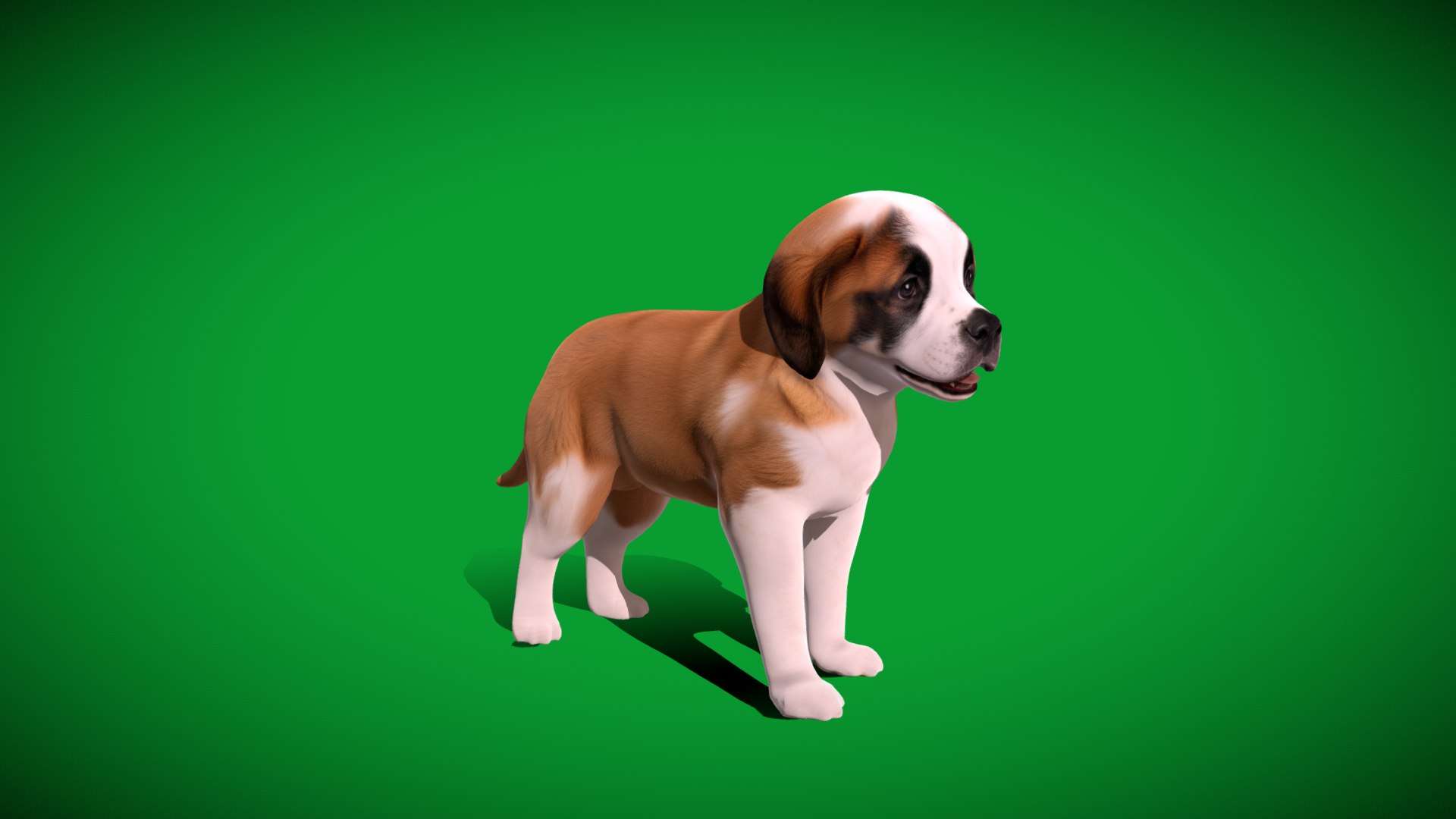 Saint Bernard Puppy Dog 3D model https://p.turbosquid.com/ts-thumb/6o/eMTjYF/KD/st_bernard_puppy_dog_breed2/png/1756590412/1920x1080/fit_q87/44e8f885877102d8d8002611ec9e36408ce80ea2/st_bernard_puppy_dog_breed2.jpg