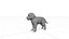Chiot Saint-Bernard