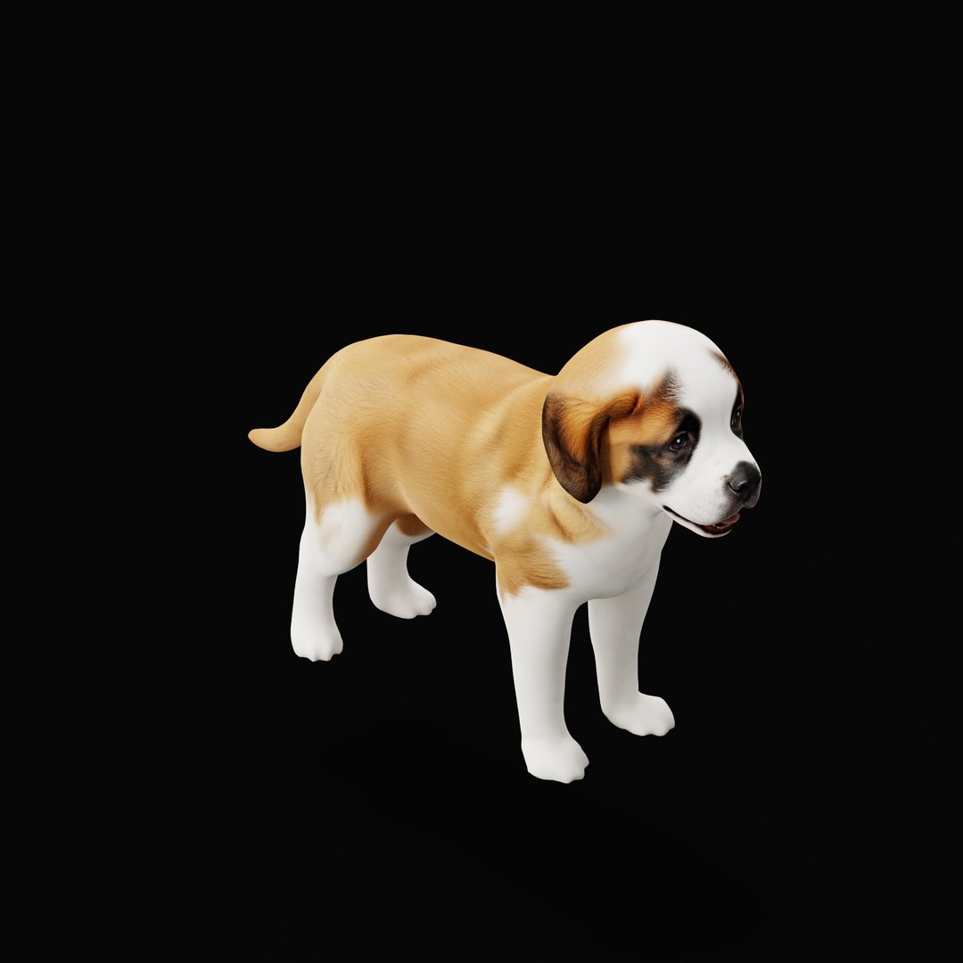 Saint Bernard Puppy Dog 3D model https://p.turbosquid.com/ts-thumb/6o/eMTjYF/YF/stbernardpuppydogao_0003/jpg/1756590404/1920x1080/fit_q87/2a6246bc8f848e7c53db295999e0caa78b20e3b7/stbernardpuppydogao_0003.jpg