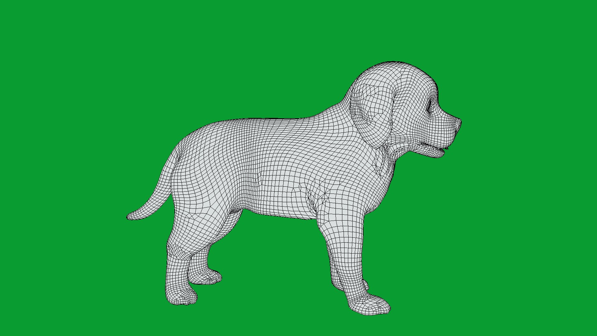 Saint Bernard Puppy Dog 3D model https://p.turbosquid.com/ts-thumb/6o/eMTjYF/ZN/st_bernard_puppy_dog_breed19/png/1756590434/1920x1080/fit_q87/f829d9b9a1ef562dbaed8dd89bcc9b5540b67ef9/st_bernard_puppy_dog_breed19.jpg