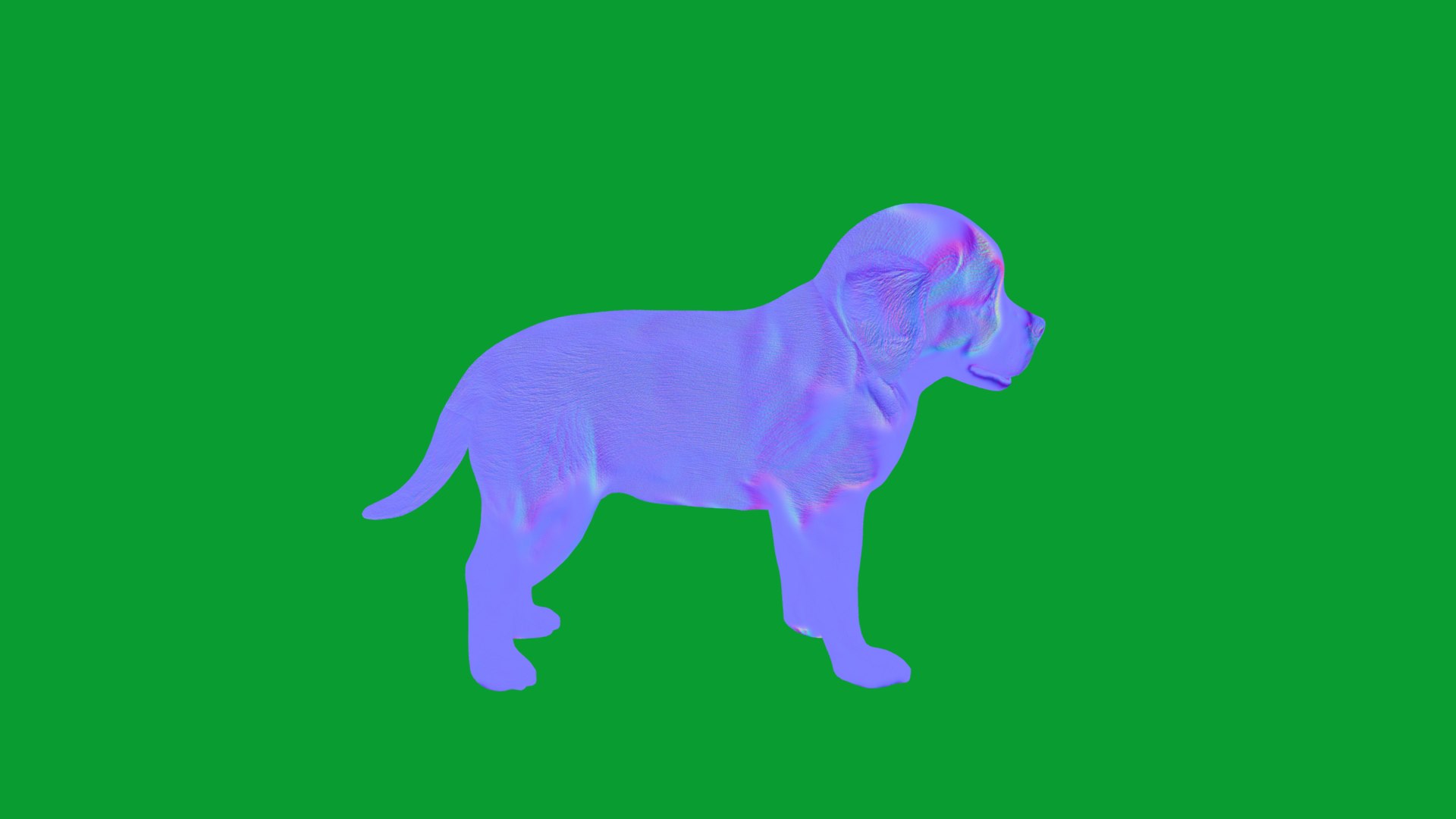 Saint Bernard Puppy Dog 3D model https://p.turbosquid.com/ts-thumb/6o/eMTjYF/bN/st_bernard_puppy_dog_breed11/png/1756590427/1920x1080/fit_q87/a7935a02fbfea1c0860e83969c31f10850efc8ea/st_bernard_puppy_dog_breed11.jpg