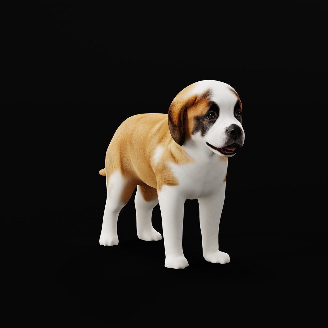 Saint Bernard Puppy Dog 3D model https://p.turbosquid.com/ts-thumb/6o/eMTjYF/c4/stbernardpuppydogao/jpg/1756590401/1920x1080/fit_q87/a3886f25073c782095f21fbdc9b9e5d673a1f09e/stbernardpuppydogao.jpg
