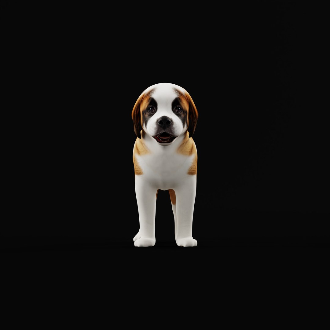 Saint Bernard Puppy Dog 3D model https://p.turbosquid.com/ts-thumb/6o/eMTjYF/l1/stbernardpuppydogao_0000/jpg/1756590401/1920x1080/fit_q87/35fb3e44065feb4c82a5929458583e2b0214bc14/stbernardpuppydogao_0000.jpg