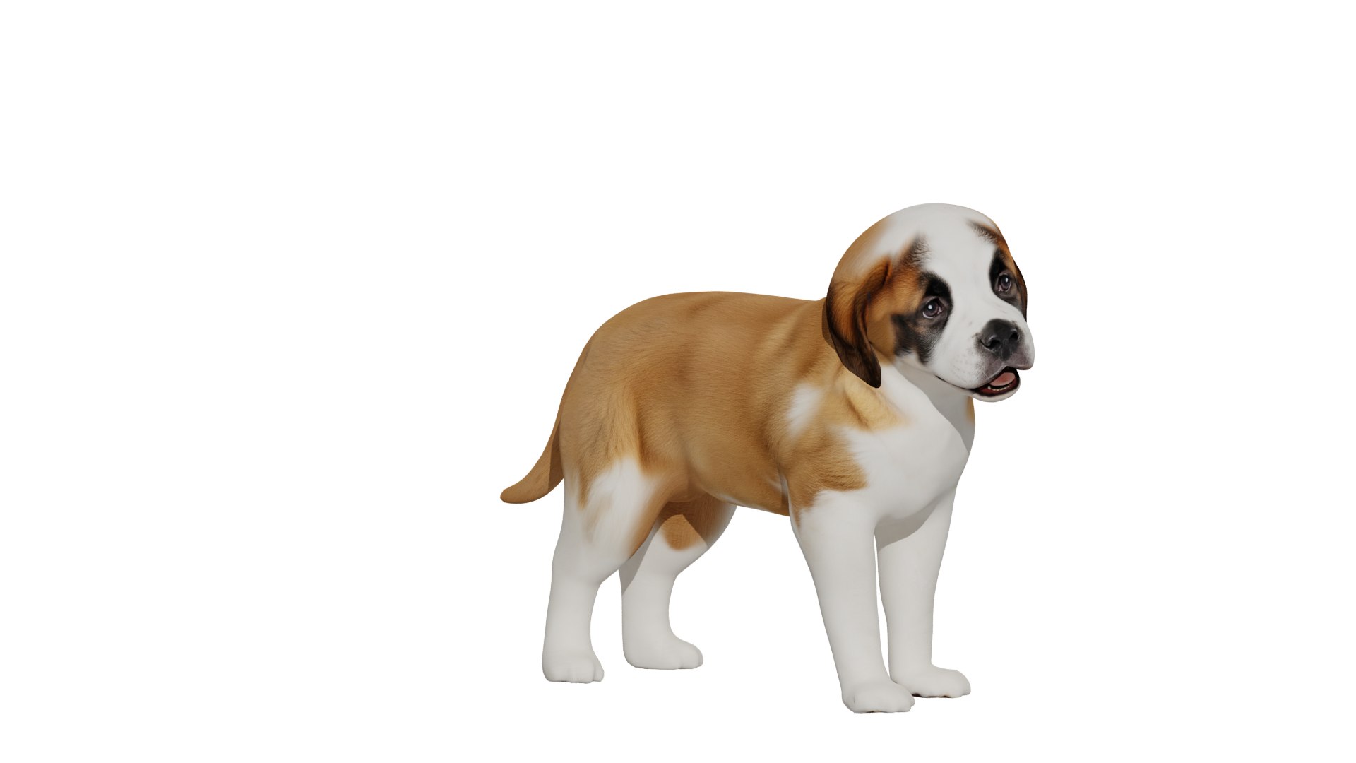 Saint Bernard Puppy Dog 3D model https://p.turbosquid.com/ts-thumb/6o/eMTjYF/mn/st_bernard_puppy_preview421/png/1756590399/1920x1080/fit_q87/332b16c01d46dd14508425762987768fa846f42c/st_bernard_puppy_preview421.jpg