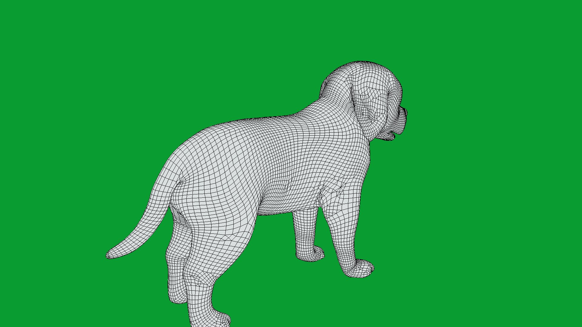 Saint Bernard Puppy Dog 3D model https://p.turbosquid.com/ts-thumb/6o/eMTjYF/pF/st_bernard_puppy_dog_breed20/png/1756590435/1920x1080/fit_q87/ca4d97814d63f0aab066df105dd140d1d01285b4/st_bernard_puppy_dog_breed20.jpg
