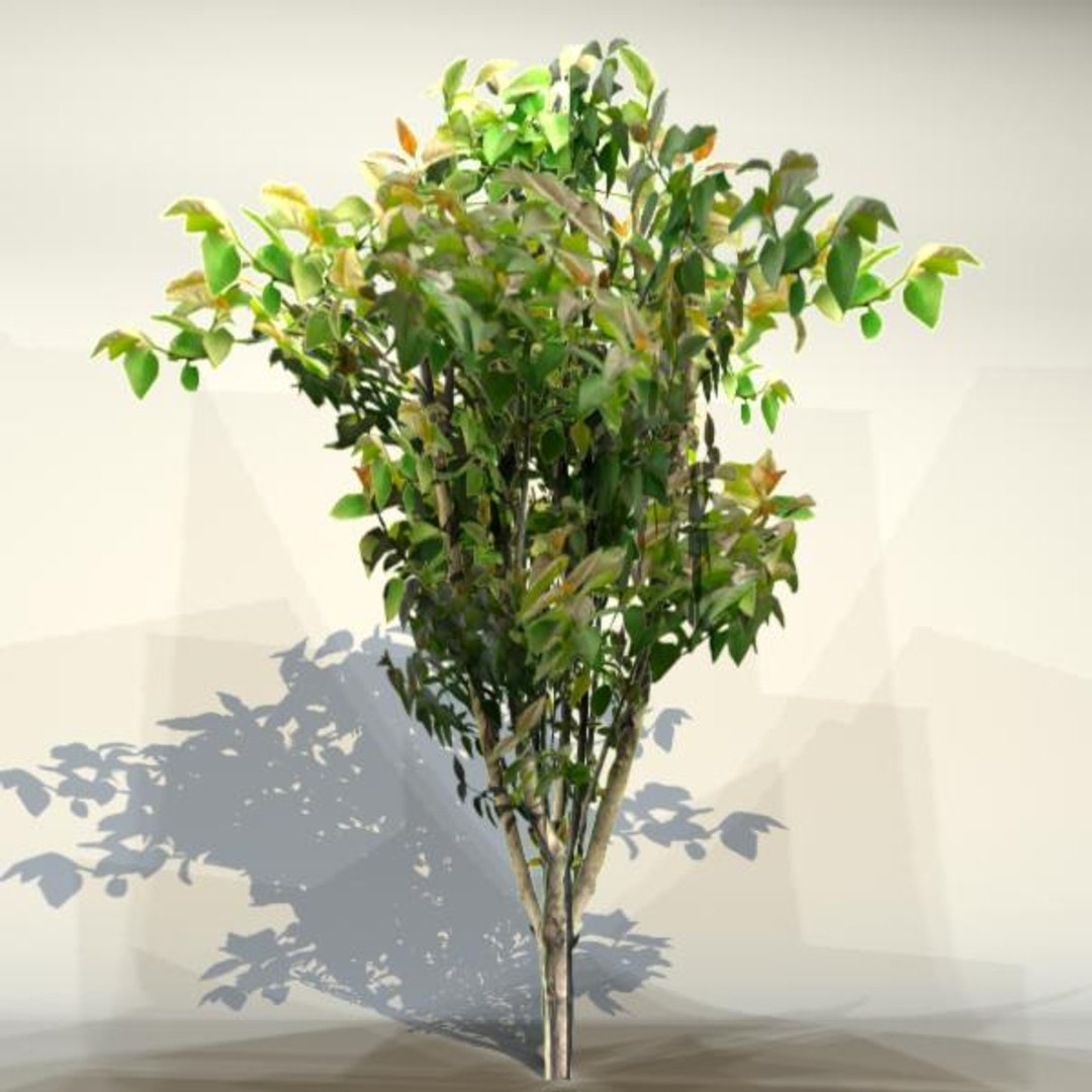 3d model pc bush