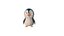 Pinguino bambino