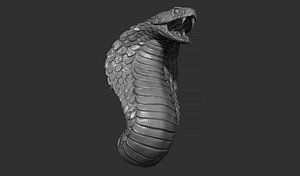 Snake Cobra
