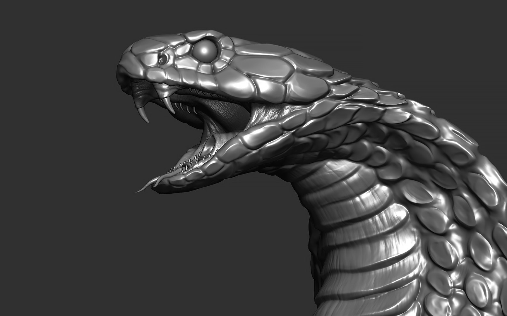 Snake Cobra 3D - TurboSquid 1948990
