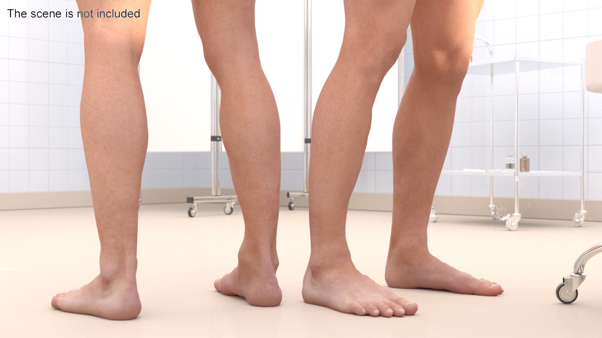 3D model Realistic Full Body Anatomy Collection https://p.turbosquid.com/ts-thumb/6p/C7Ribk/Mr/realistic_full_body_anatomy_collection_007/jpg/1711689844/1920x1080/fit_q87/8d25a3b3f09b916db00a447222de84d688e11284/realistic_full_body_anatomy_collection_007.jpg