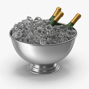 Champagne Bowl 3D