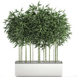 3D bamboo bush interior white