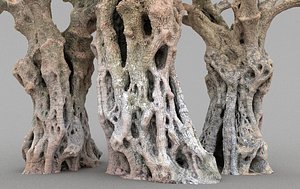 3D thousand-year-old olive tree