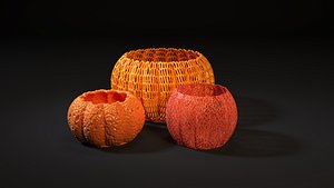 3D model Pumpkin vases