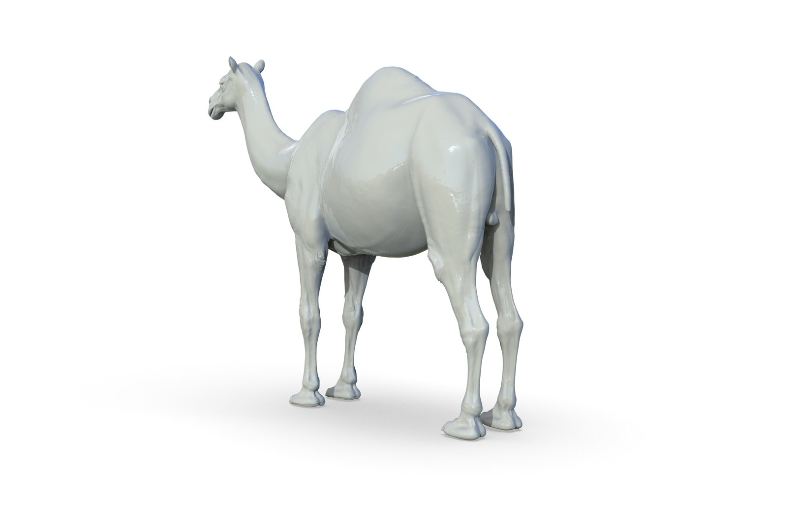 Camel 3D model https://p.turbosquid.com/ts-thumb/6p/Sy7zuH/0X/render_04/jpg/1710786255/1920x1080/fit_q87/152093abb9e16364662cbcc16f7b337fb807b730/render_04.jpg