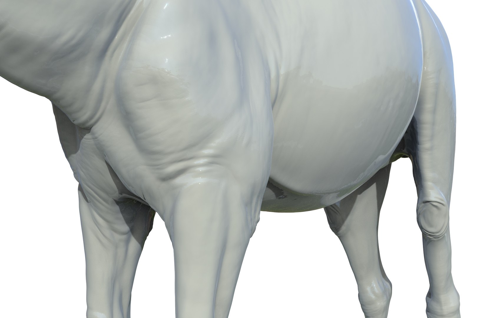 Camel 3D model https://p.turbosquid.com/ts-thumb/6p/Sy7zuH/3I/render_14/jpg/1710786263/1920x1080/fit_q87/2933ac9e34658304fe2c07dfa97dfe852a6dc13c/render_14.jpg