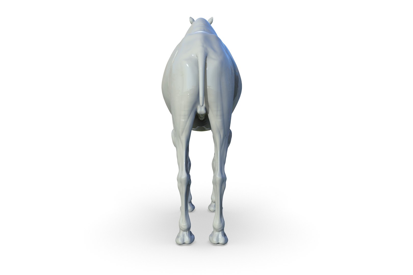 Camel 3D model https://p.turbosquid.com/ts-thumb/6p/Sy7zuH/4C/render_06/jpg/1710786254/1920x1080/fit_q87/8fc6c25d80ed4b6849fe84cbe027e074e5a37b44/render_06.jpg