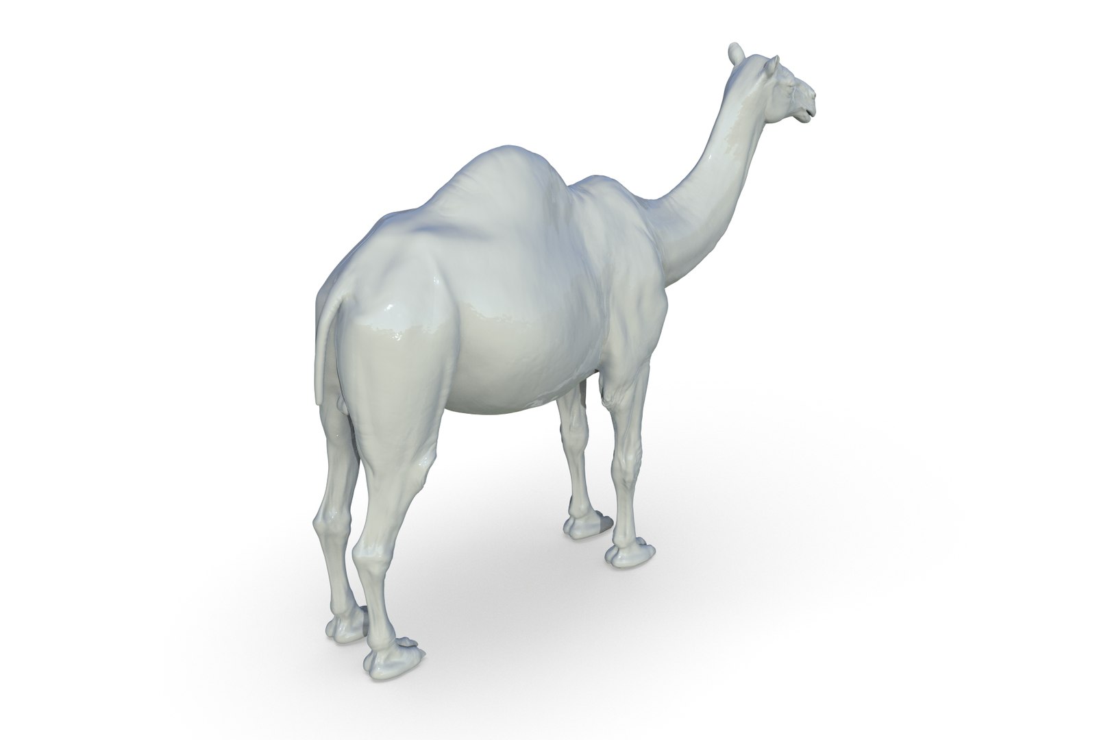 Camel 3D model https://p.turbosquid.com/ts-thumb/6p/Sy7zuH/8z/render_08/jpg/1710786259/1920x1080/fit_q87/8e65a411811a761ffaad0f13dcfc04c46cc9e2d2/render_08.jpg