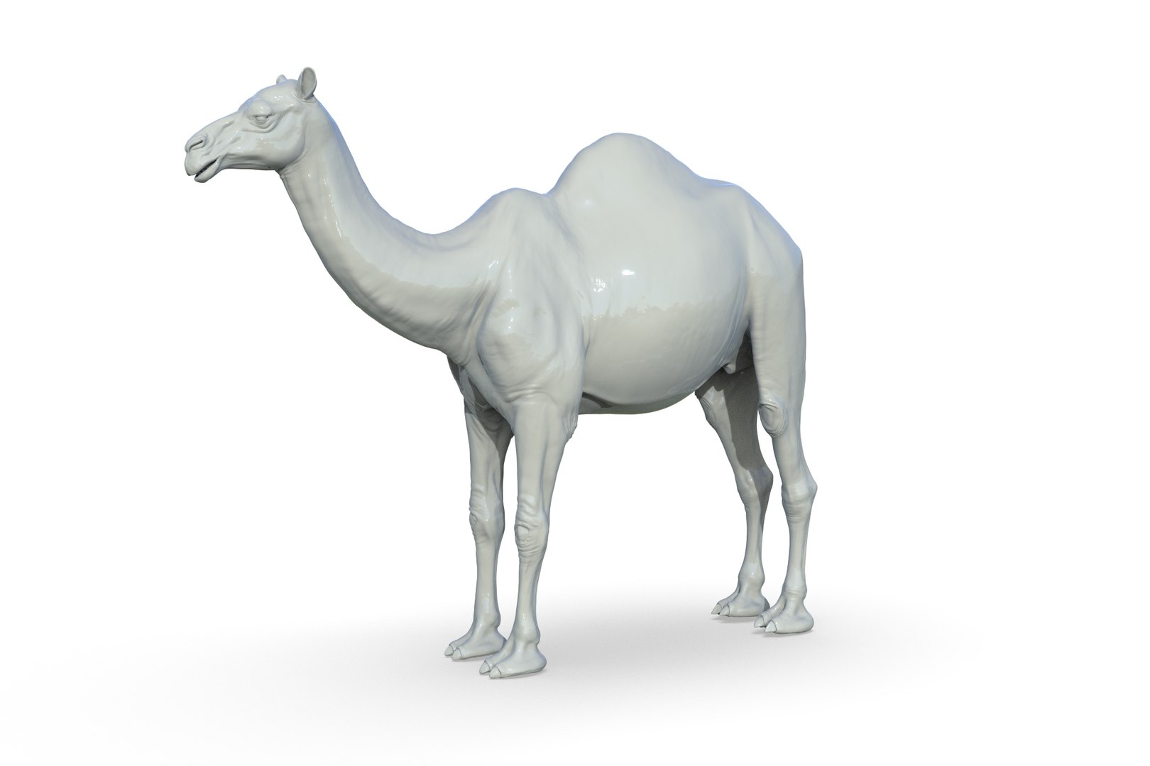 Camel 3D model https://p.turbosquid.com/ts-thumb/6p/Sy7zuH/9n/render_02/jpg/1710786252/1920x1080/fit_q87/52d56dedaa7a77ac960d3c8f527589fcb59b9d6e/render_02.jpg