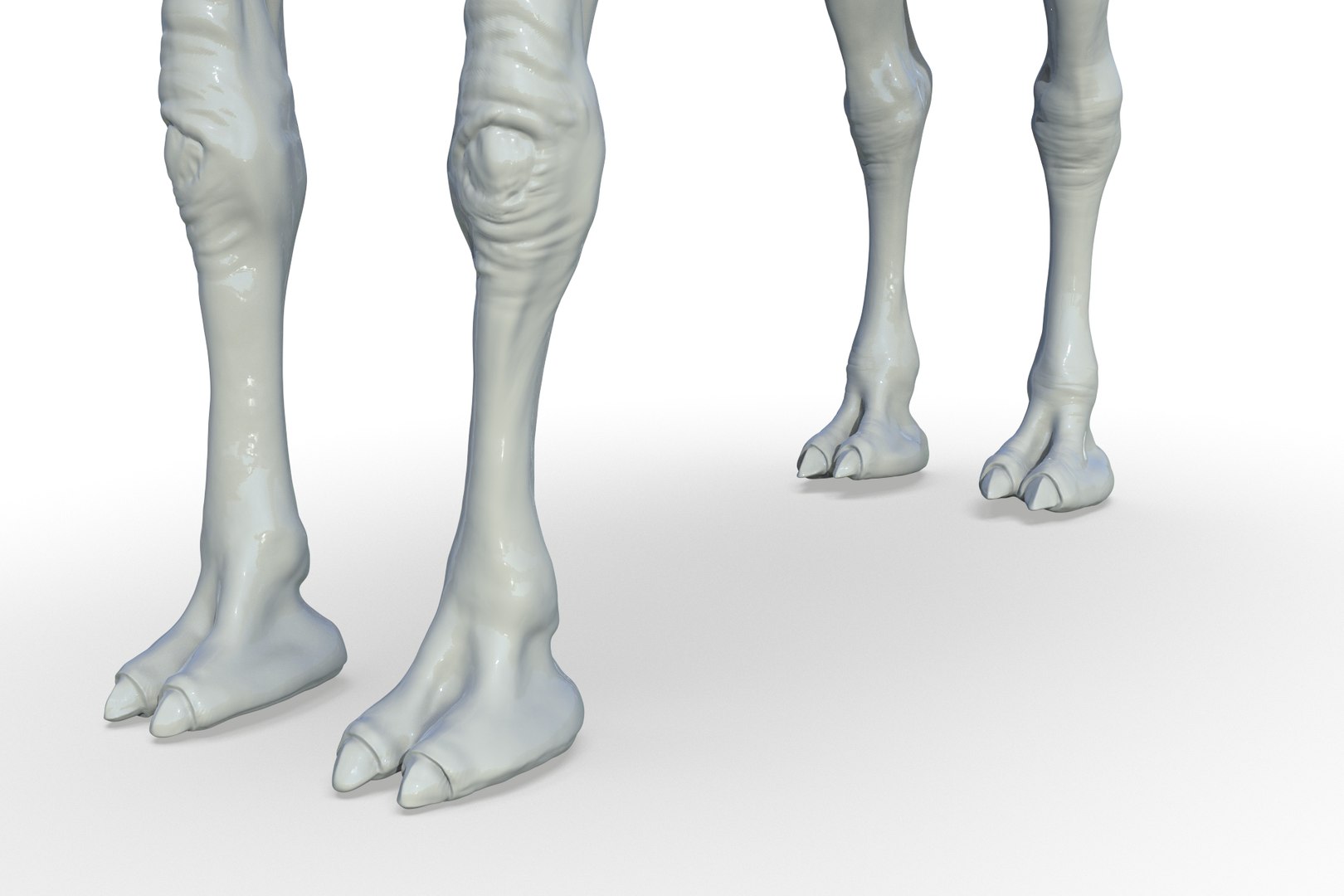 Camel 3D model https://p.turbosquid.com/ts-thumb/6p/Sy7zuH/Cm/render_16/jpg/1710786264/1920x1080/fit_q87/8eacef6eab8fb3c8464e21ad9f21384fce58fc74/render_16.jpg