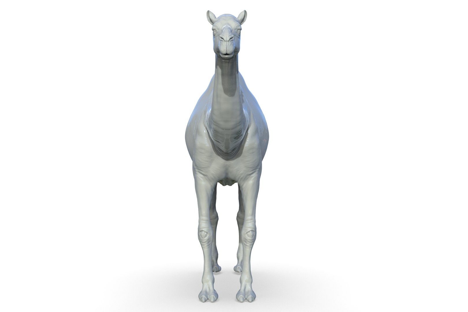 Camel 3D model https://p.turbosquid.com/ts-thumb/6p/Sy7zuH/Eb/render_13/jpg/1710786261/1920x1080/fit_q87/059ffeddd818217b12f7fcf852338630fce009a4/render_13.jpg