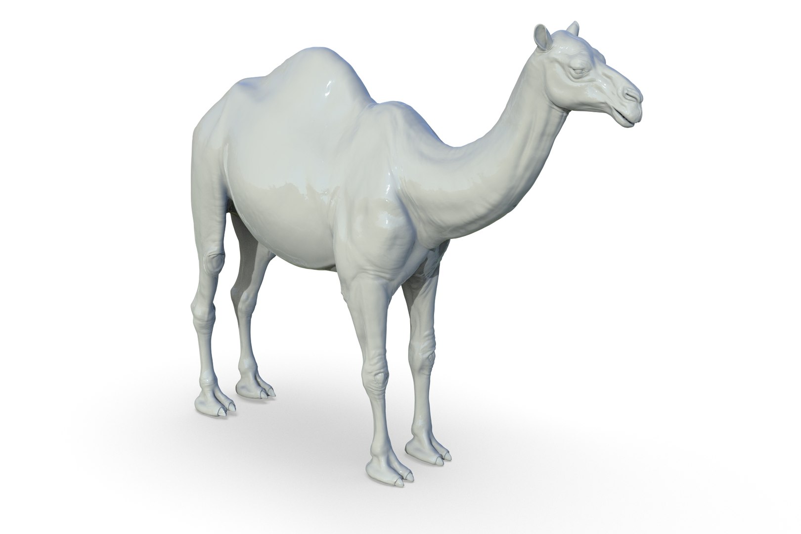 Camel 3D model https://p.turbosquid.com/ts-thumb/6p/Sy7zuH/G4/render_10/jpg/1710786260/1920x1080/fit_q87/218a5d93103a64cb4c588509363559a9e664d56b/render_10.jpg