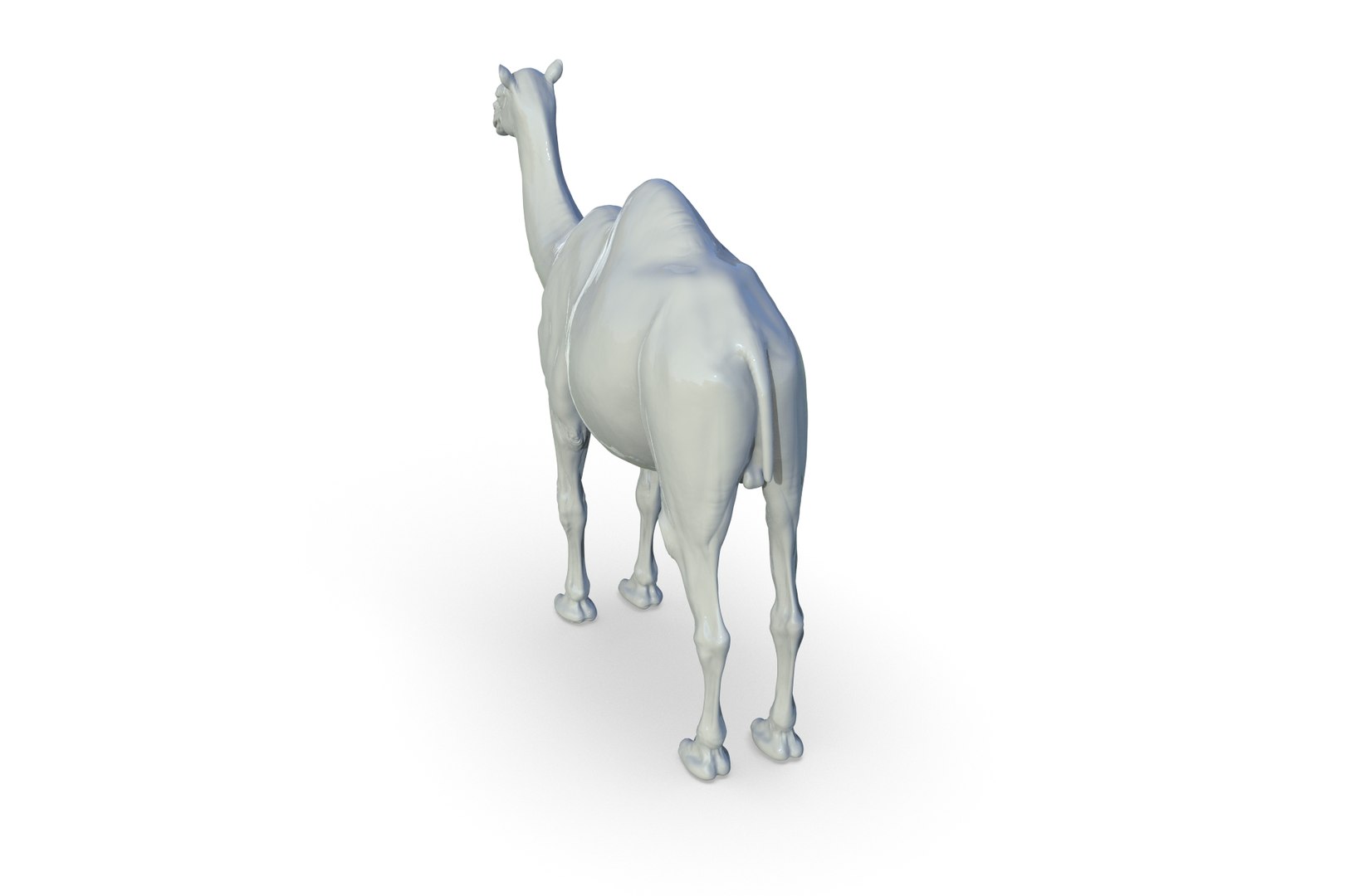 Camel 3D model https://p.turbosquid.com/ts-thumb/6p/Sy7zuH/Y1/render_05/jpg/1710786257/1920x1080/fit_q87/fbce2ee2467c769d263f9689a473d9cb2b2ee27a/render_05.jpg