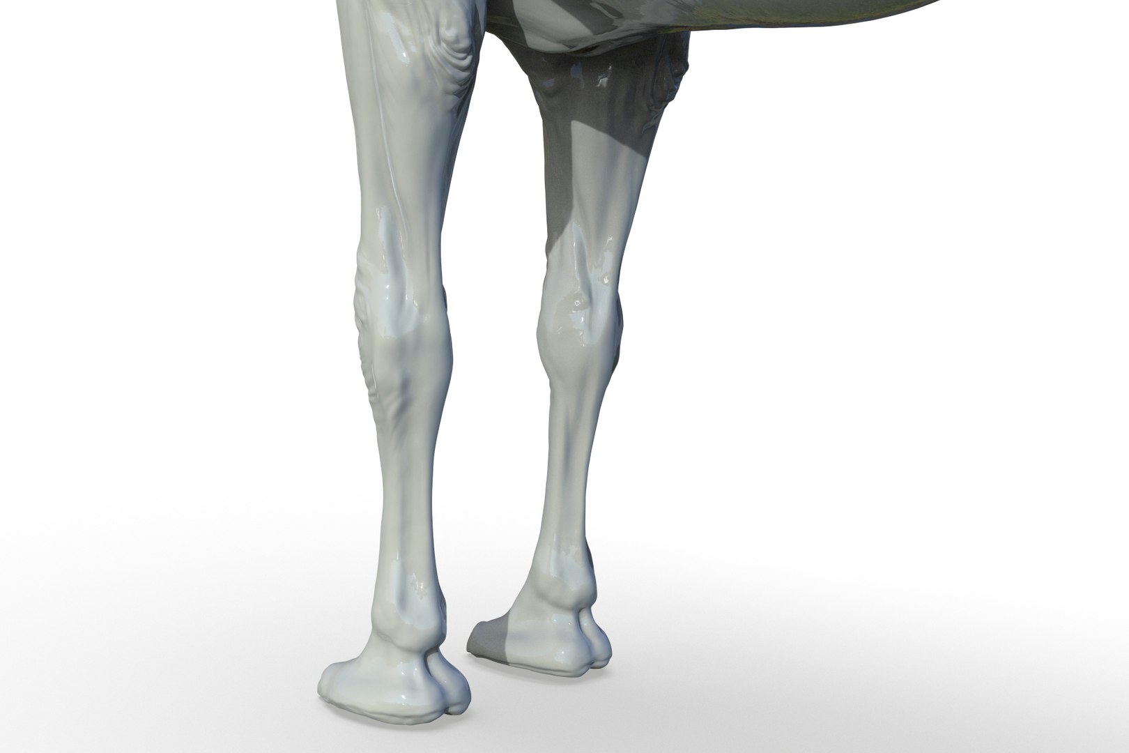 Camel 3D model https://p.turbosquid.com/ts-thumb/6p/Sy7zuH/jG/render_17/jpg/1710786266/1920x1080/fit_q87/2e29ba57fd497fa7dbb686d4cacc2d0b29c82714/render_17.jpg