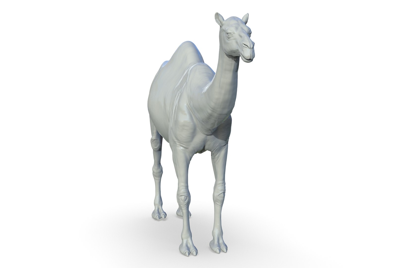 Camel 3D model https://p.turbosquid.com/ts-thumb/6p/Sy7zuH/k8/render_12/jpg/1710786261/1920x1080/fit_q87/c1b1e7a60c316d86200088e1ed272521ee007333/render_12.jpg