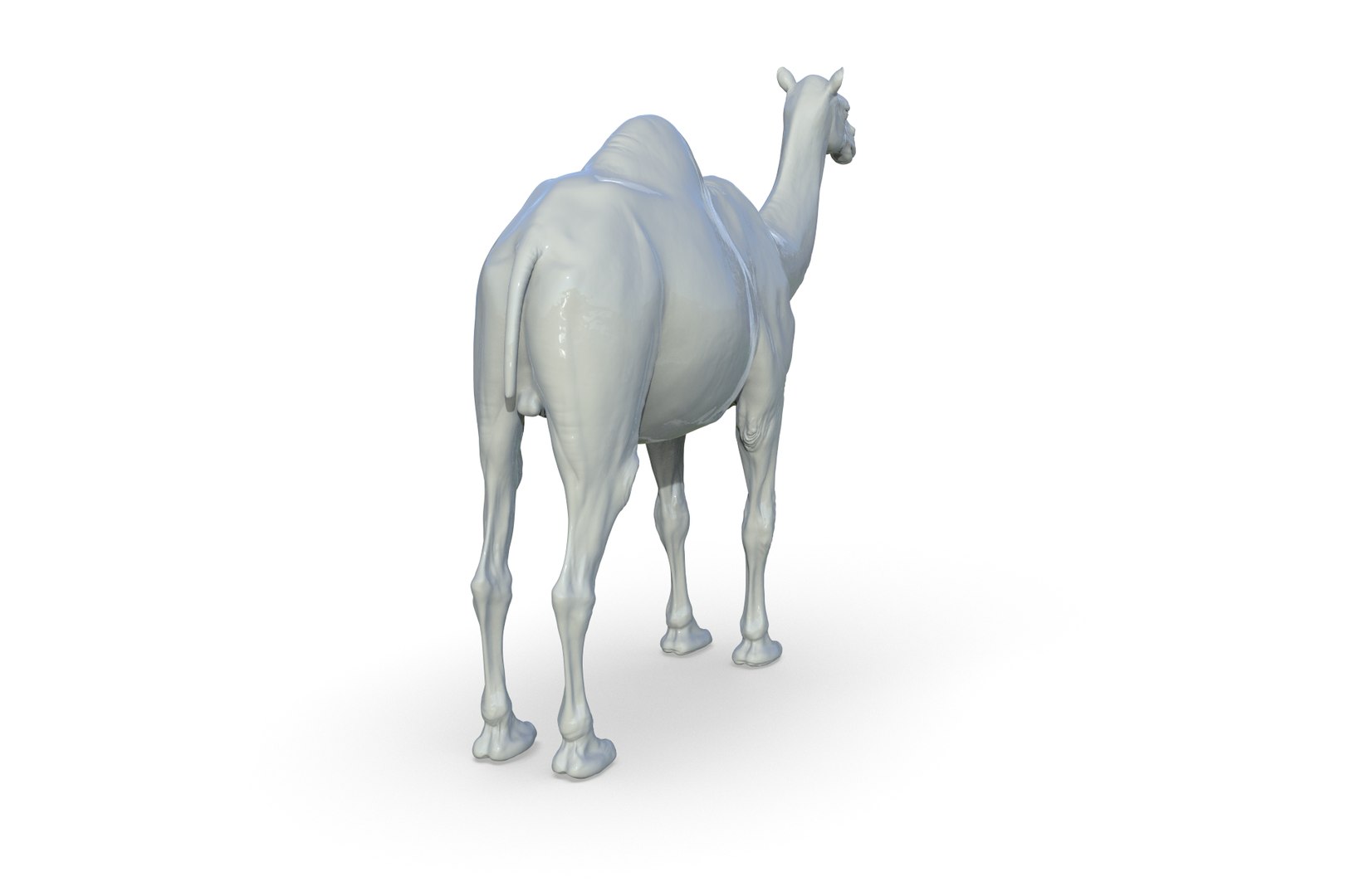 Camel 3D model https://p.turbosquid.com/ts-thumb/6p/Sy7zuH/rP/render_07/jpg/1710786257/1920x1080/fit_q87/d6d5d6a9a46a692f7f79de1739518f1c11a734ac/render_07.jpg