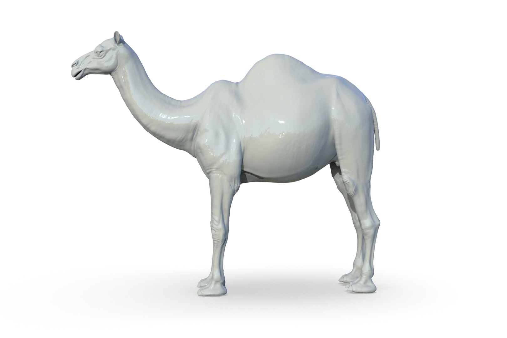 Camel 3D model https://p.turbosquid.com/ts-thumb/6p/Sy7zuH/v2/render_03/jpg/1710786252/1920x1080/fit_q87/45f7be8f2f401696a92a7db1984e63fc75399144/render_03.jpg