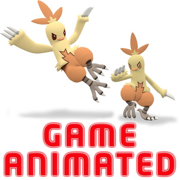 POKEMON Combusken Animated Game Already model 3D model