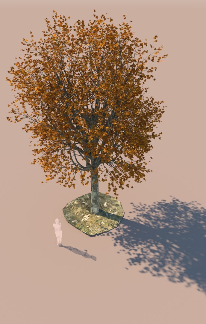 Collection Of 9 Maple Trees Collection 3D Model - TurboSquid 2375406